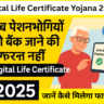 Digital Life Certificate Yojana